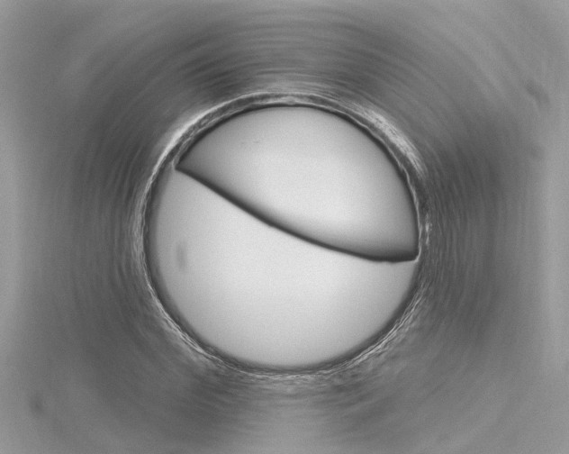 X0000116320972200912010941