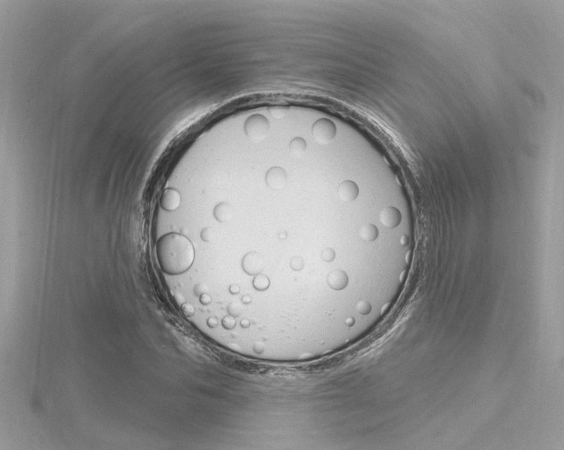 X0000116320974200912010941