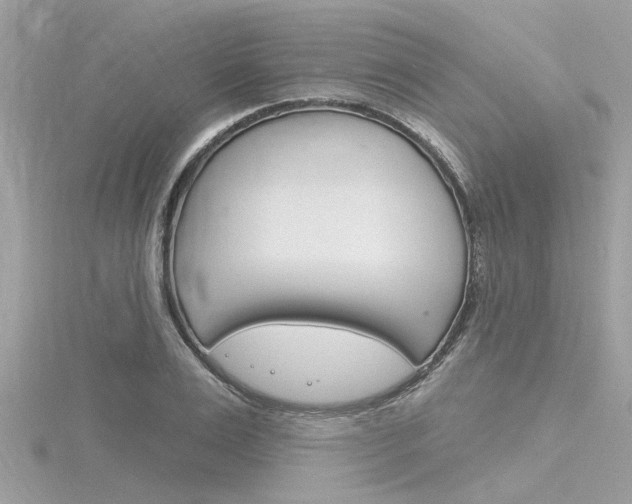X0000116320983200912010940