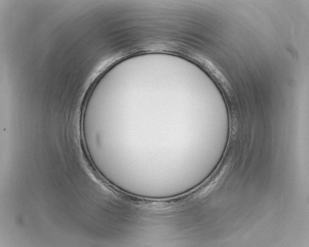 X0000116320986200912010940