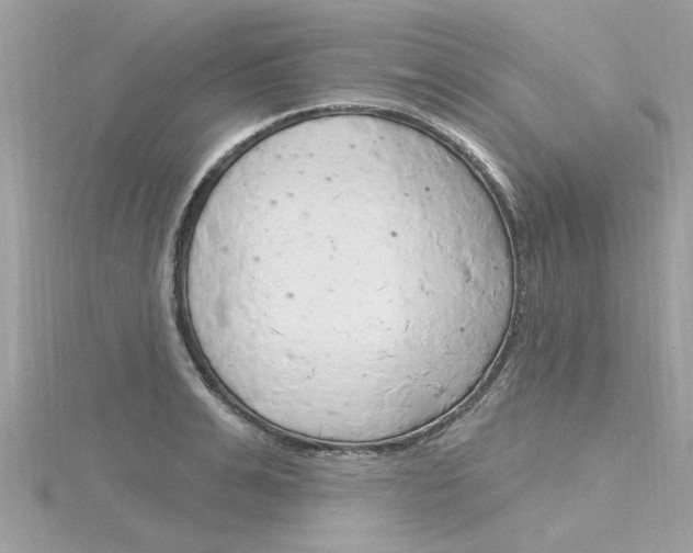 X0000116320991200912010940
