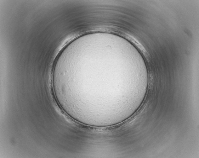 X0000116320994200912010940