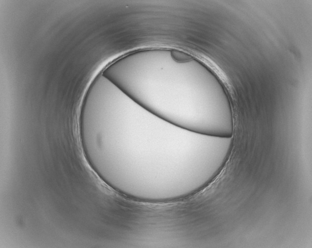 X0000116320996200912010940
