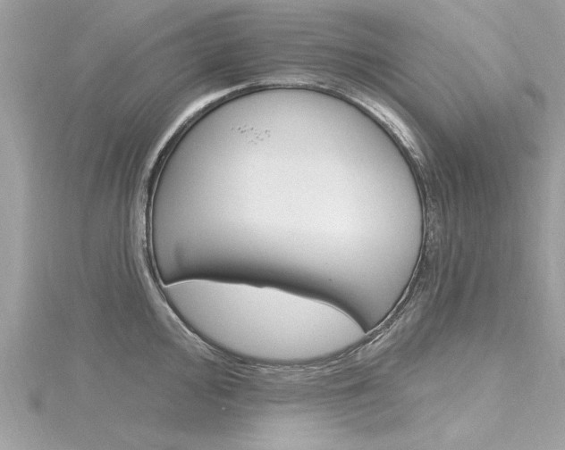 X0000116321000200912010940