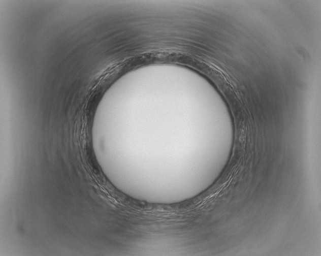 X0000116321014200912010940