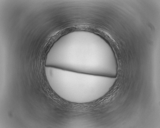 X0000116321016200912010940