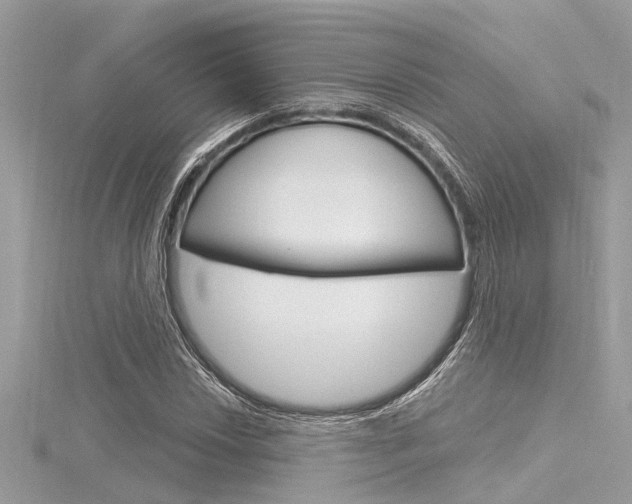X0000116321018200912010940
