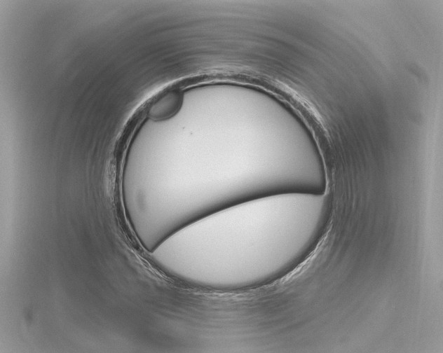 X0000116321021200912010940