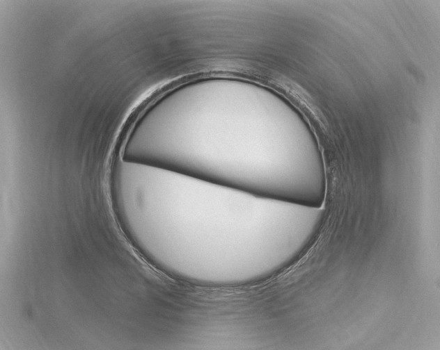 X0000116321024200912010940