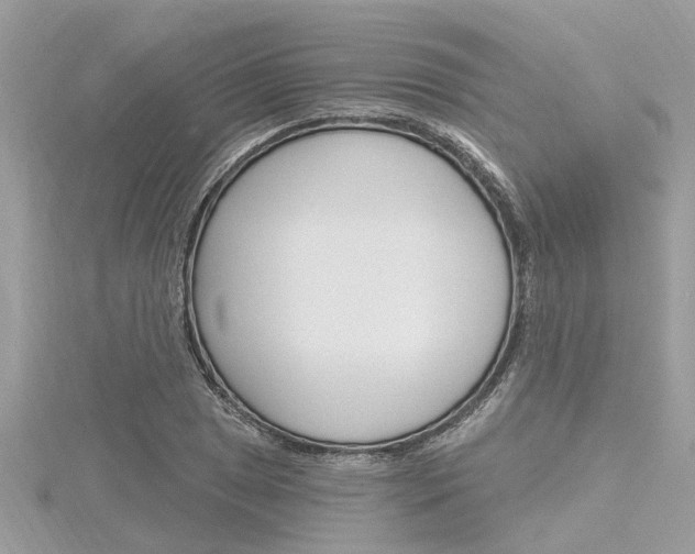 X0000116321025200912010940