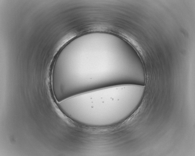 X0000116321042200912010940