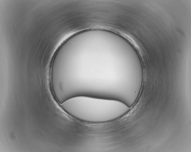 X0000116321048200912010940
