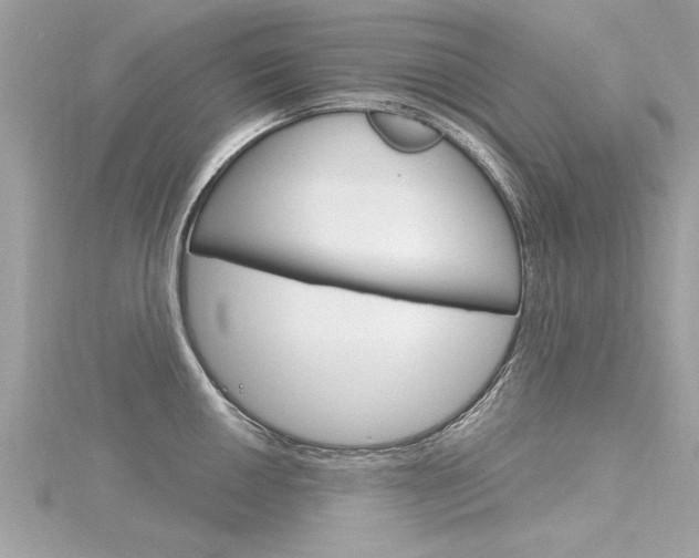 X0000116321050200912010940