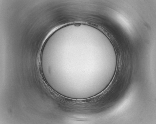 X0000116321052200912010940