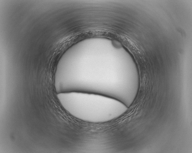 X0000116321062200912010939