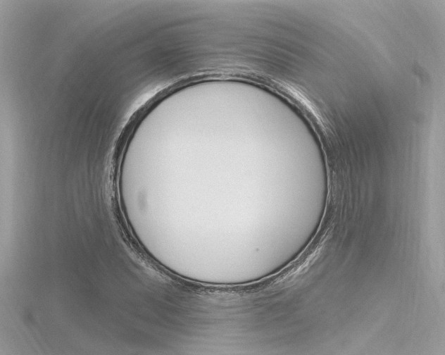 X0000116321071200912010939