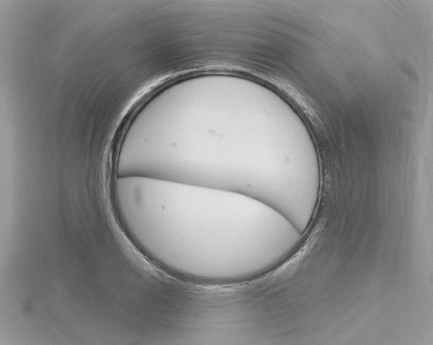 X0000116321126200912010938