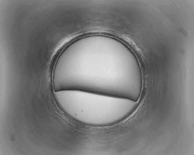 X0000116321167200912010938