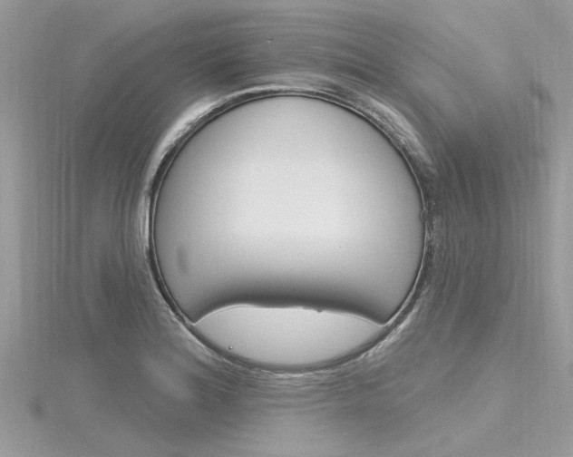 X0000116321180200912010938