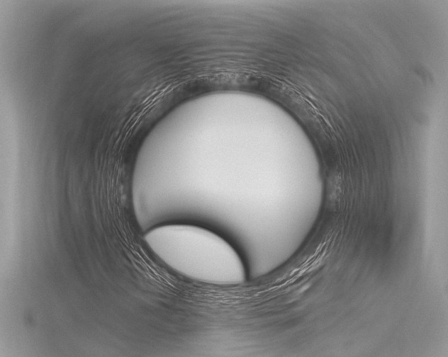 X0000116321202200912010937