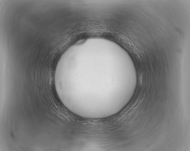 X0000116321204200912010937