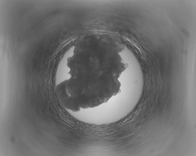 X0000116321207200912010937