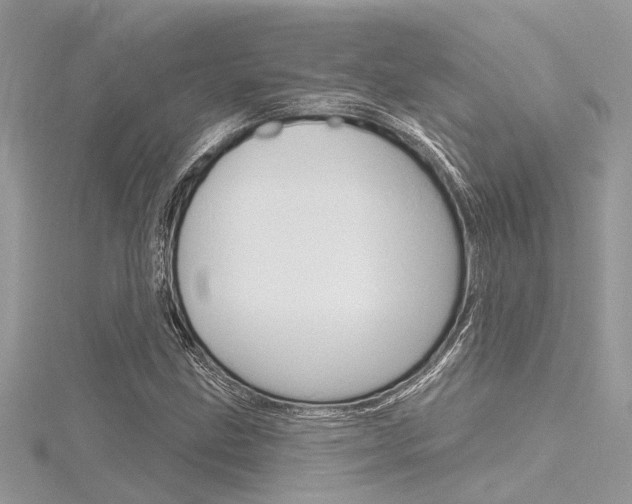 X0000116321211200912010937