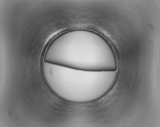 X0000116321214200912010937