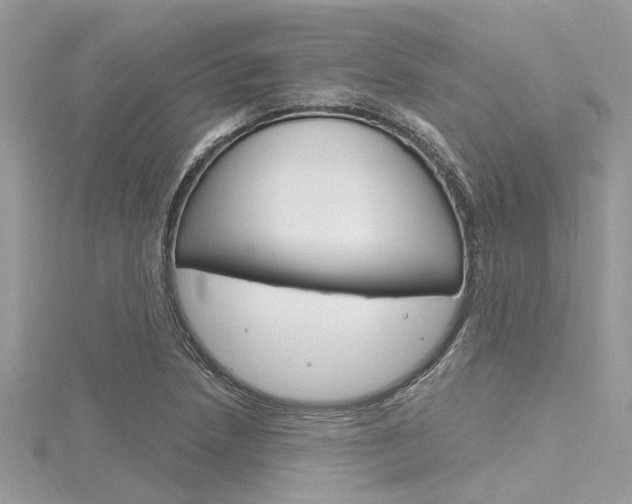 X0000116321218200912010937