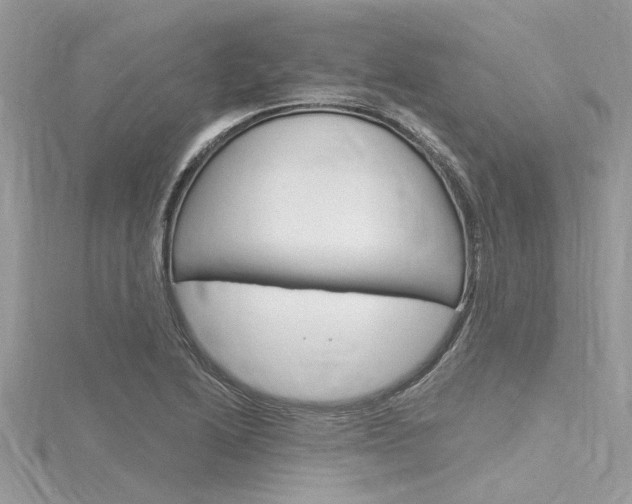 X0000116321222200912010937