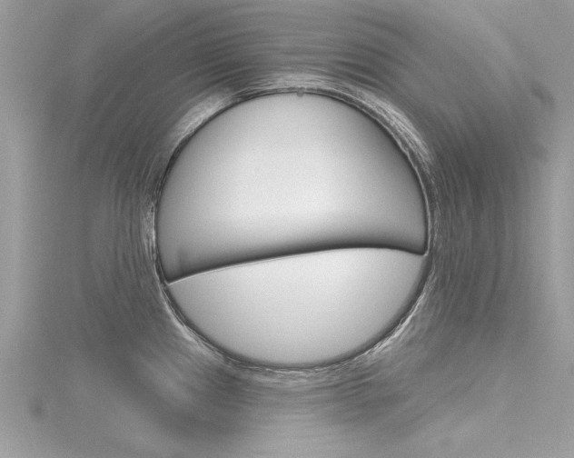 X0000116321241200912010937