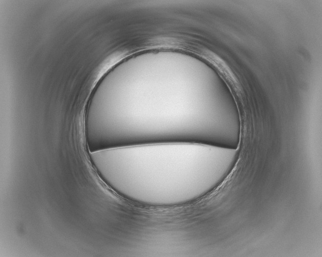 X0000116321242200912010937
