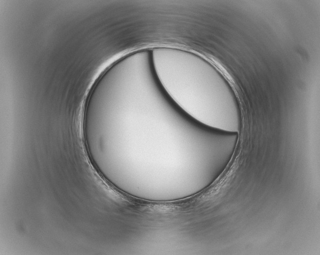 X0000116321246200912010937