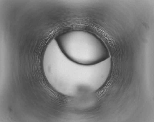 X0000116321252200912010937