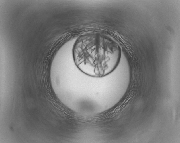 X0000116321253200912010937