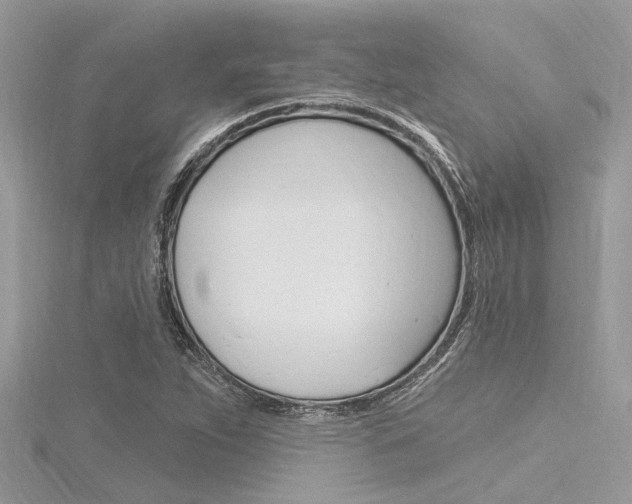 X0000116321263200912010937