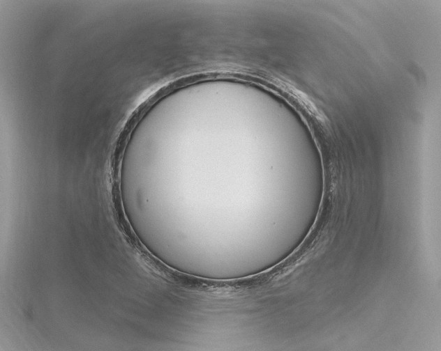 X0000116321264200912010937