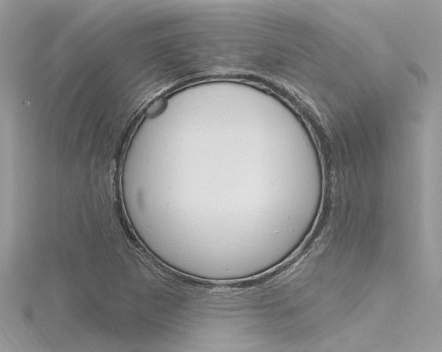 X0000116321265200912010937