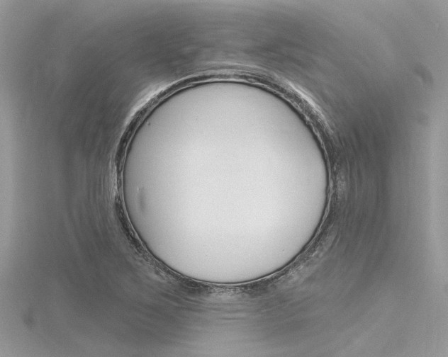 X0000116321267200912010937