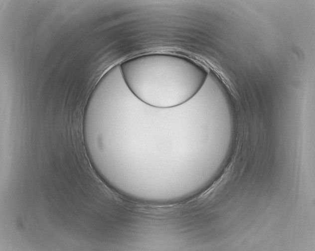 X0000116321273200912010937