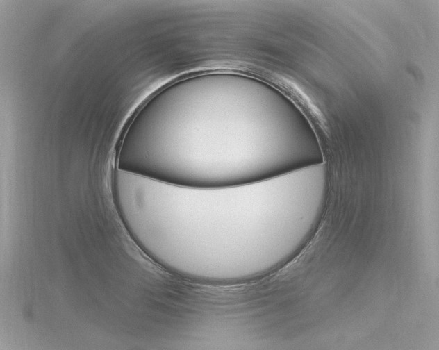 X0000116321276200912010937