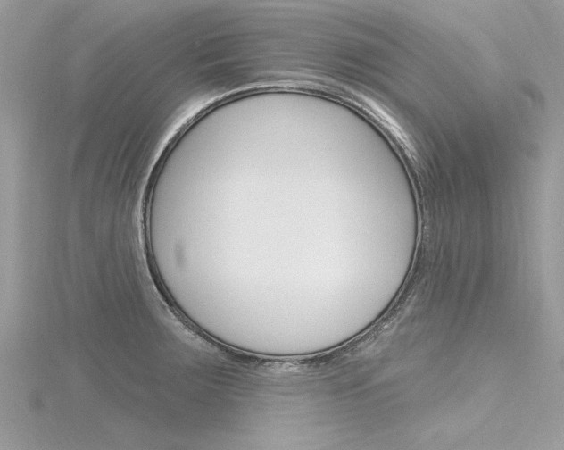 X0000116321283200912010936
