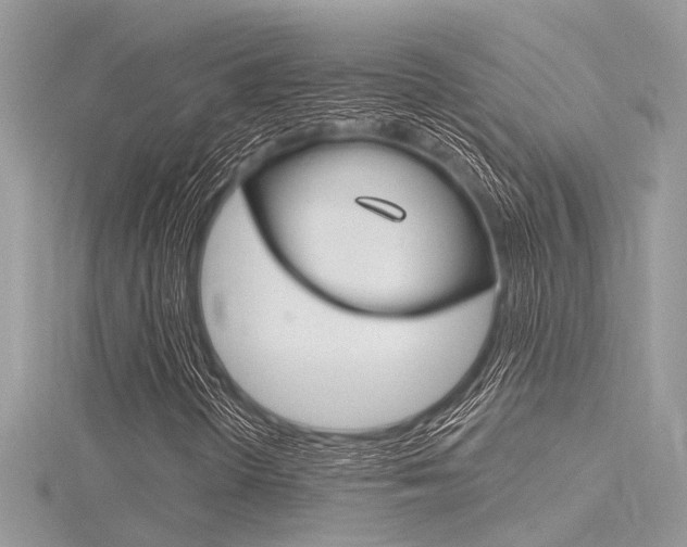 X0000116321298200912010936