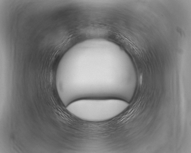 X0000116321299200912010936