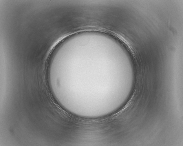 X0000116321310200912010936