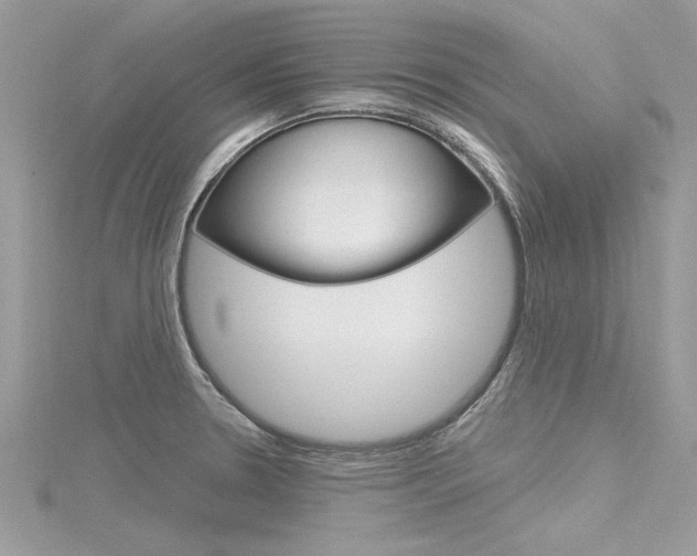 X0000116321330200912010936