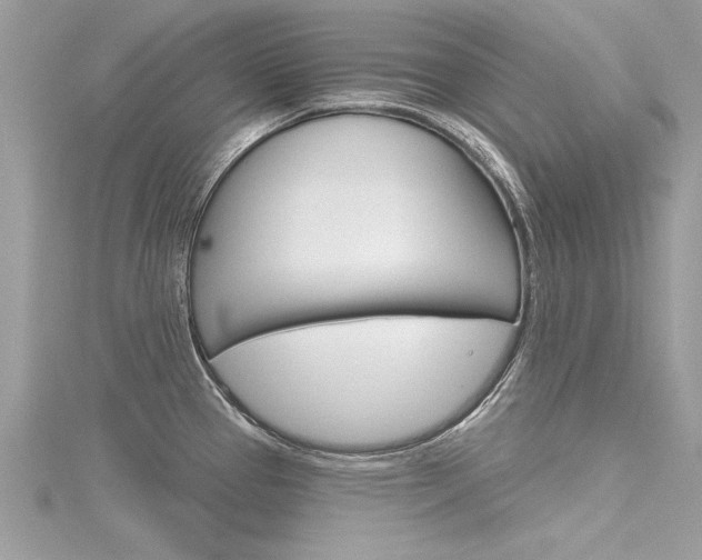 X0000116321337200912010936