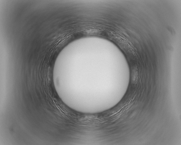 X0000116321346200912010936