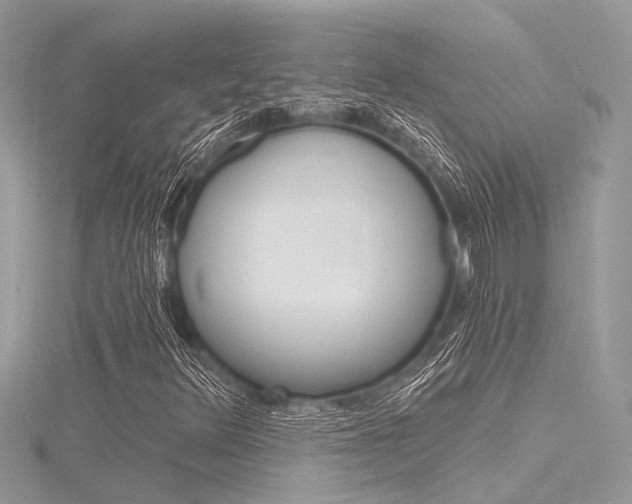 X0000116321348200912010936