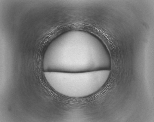 X0000116321349200912010936